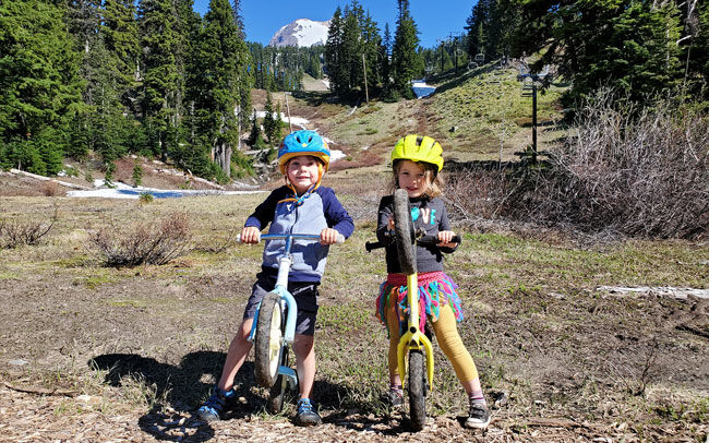 Mt. Hood Meadows